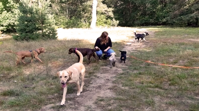 Einblicke bei der Hundeschule Ataraxia-Dogs