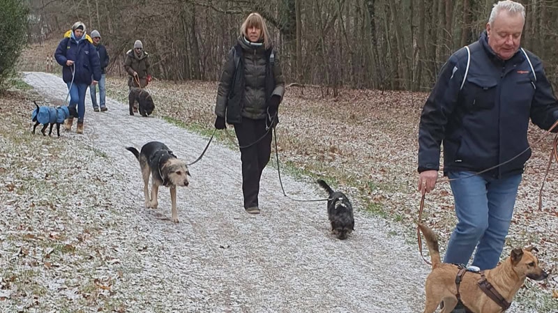 Neujahrslauf