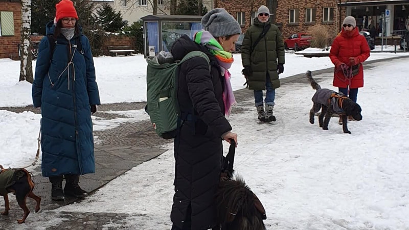 Social Walk - Stadttraining Teil 1